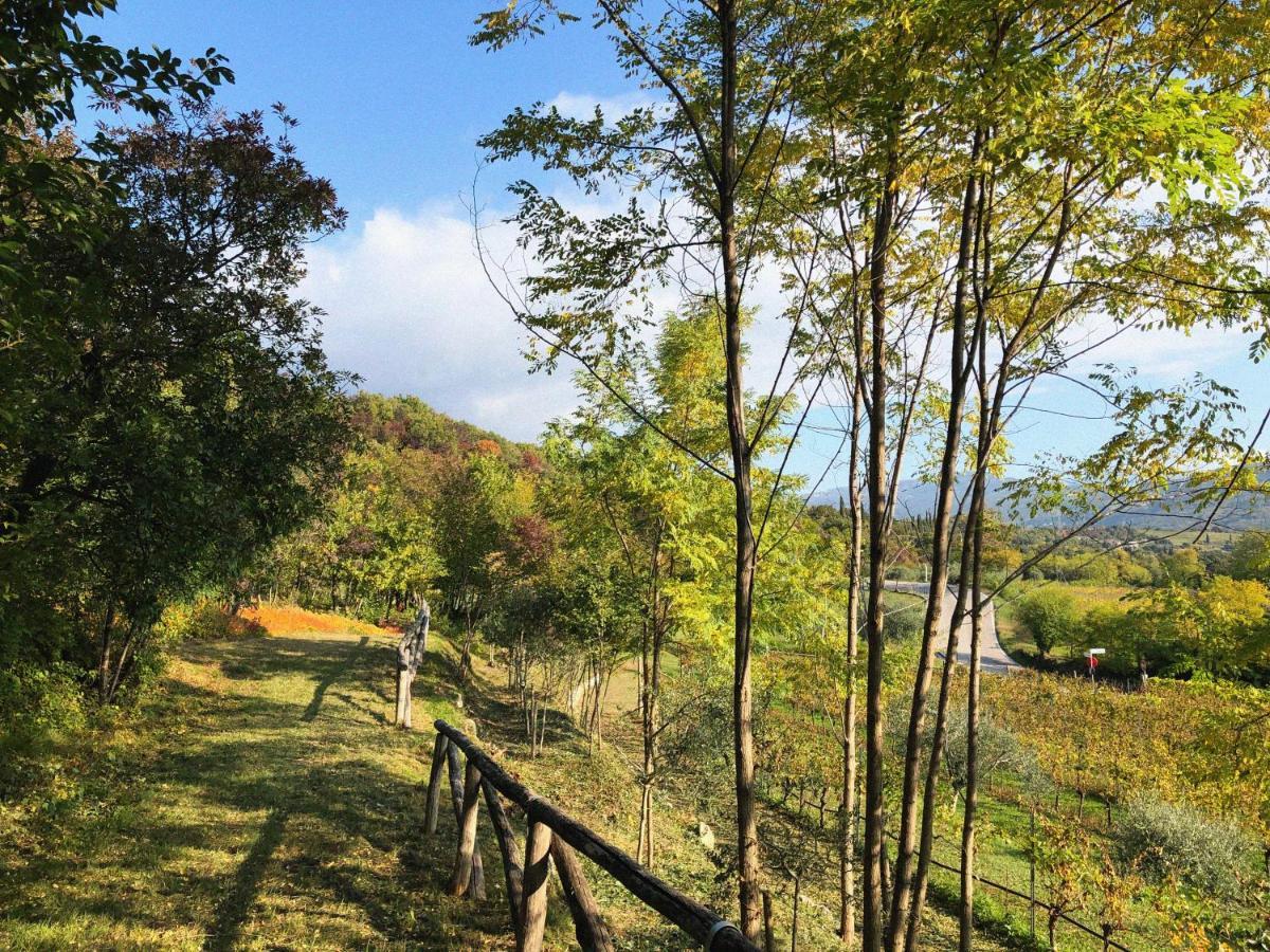 Agriturismo Ca' Cristane Rivoli Veronese Exterior foto