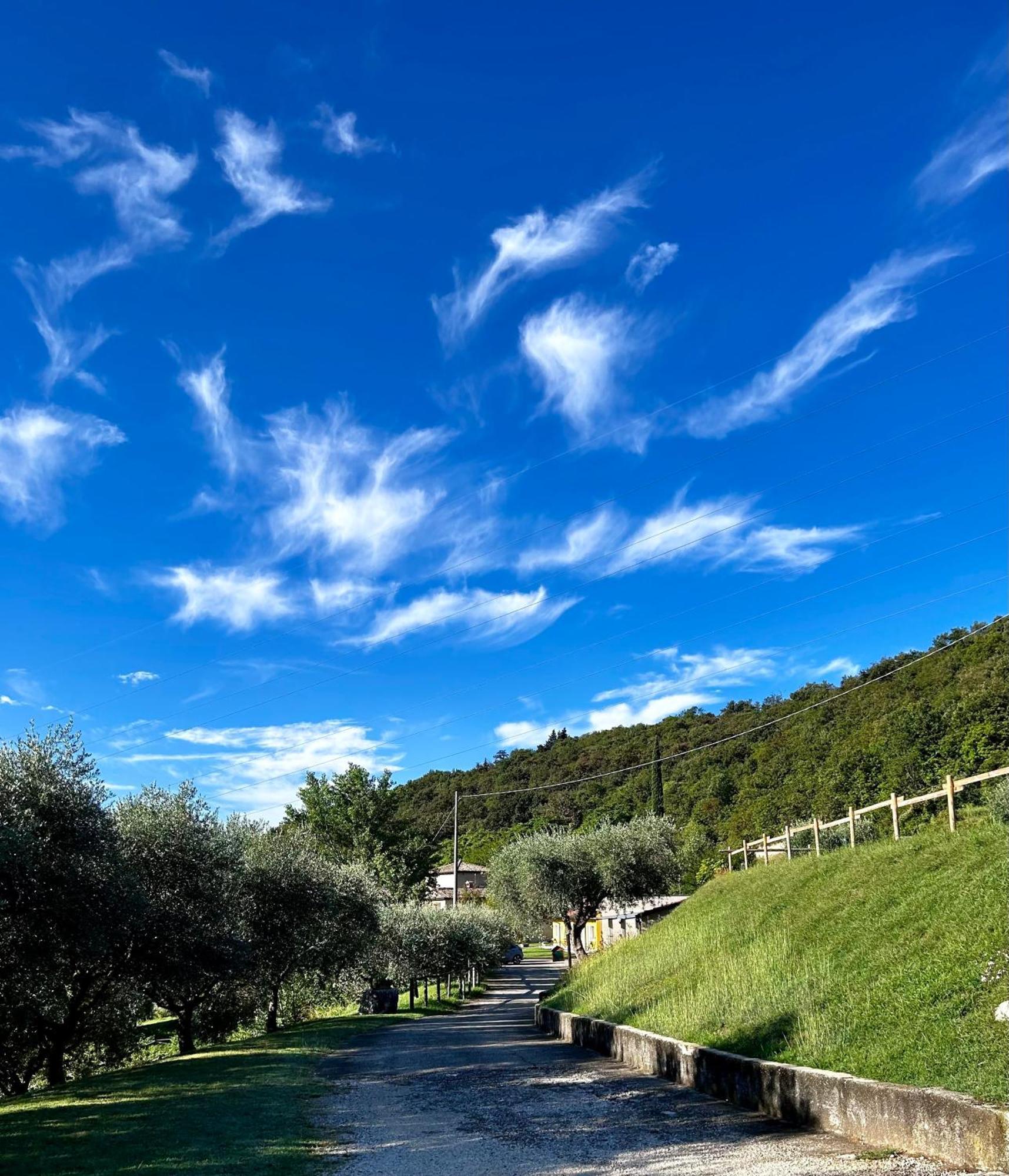 Agriturismo Ca' Cristane Rivoli Veronese Exterior foto